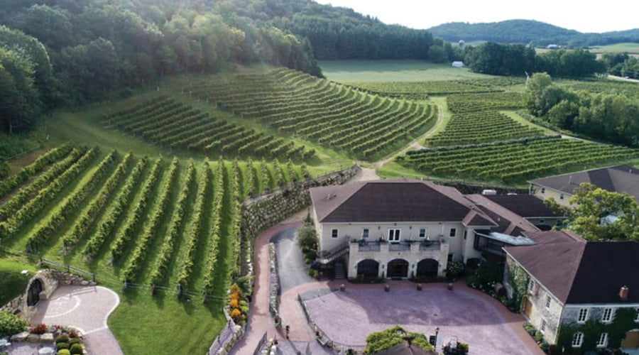 Simplicity & Balance: A Q&A With Matt Hiel, Wollersheim Distillery